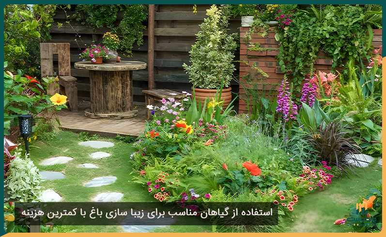 استفاده از گیاهان مناسب برای زیبا سازی باغ با کمترین هزینه