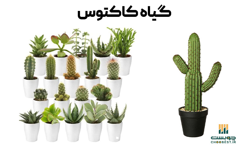 اجرای باغچه در پشت بام