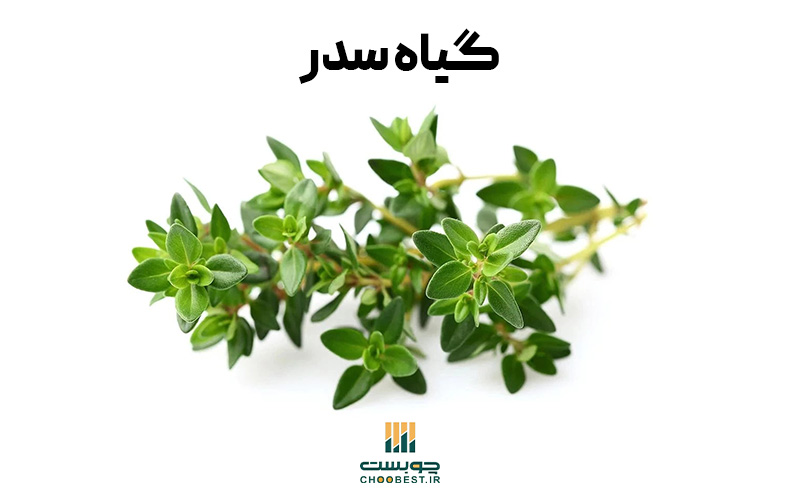 اجرای باغچه در پشت بام